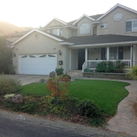 Synthetic Grass Rosebud Texas Landscape Front Yard