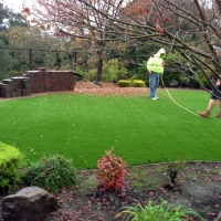 Synthetic Grass Round Top Texas Landscape Back Yard