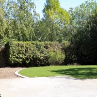 Synthetic Grass Santa Clara Texas Lawn Back Yard