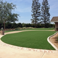 Synthetic Grass Sparks Texas Landscape Front Yard