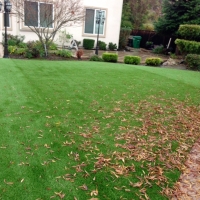 Synthetic Turf Alamo Heights Texas Landscape Back Yard