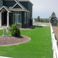 Synthetic Turf Bartlett Texas Landscape Front Yard