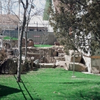 Synthetic Turf Bartlett Texas Landscape Back Yard