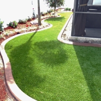 Synthetic Turf Bertram Texas Lawn Back Yard