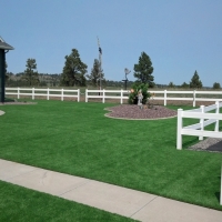 Synthetic Turf Blanco Texas Lawn Back Yard Front Yard