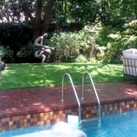 Synthetic Turf Fair Oaks Ranch Texas Lawn Summer Pools