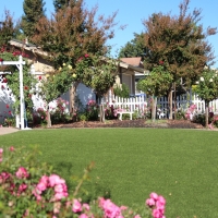 Synthetic Turf Hill Country Village Texas Lawn Front Yard