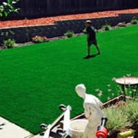 Synthetic Turf Holland Texas Lawn Back Yard