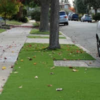 Synthetic Turf Lometa Texas Landscape Front Yard