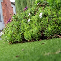 Synthetic Turf Moody Texas Landscape Front Yard