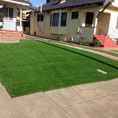 Artificial Grass Balcones Heights Texas Lawn Front Yard