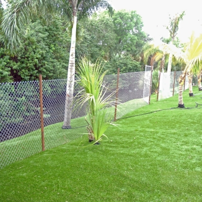 Artificial Grass Bertram Texas Landscape Back Yard