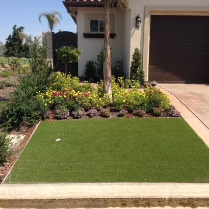 Artificial Grass Canyon Lake Texas Lawn Front Yard