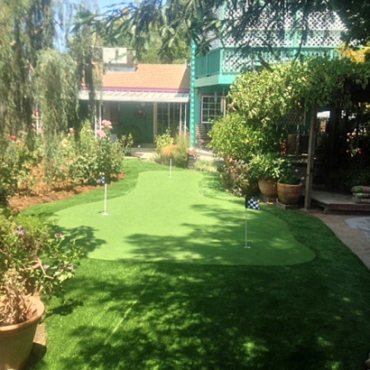 Artificial Grass Fayetteville Texas Landscape