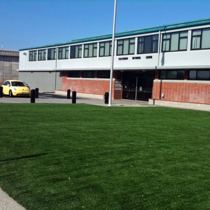 Artificial Grass Hays Texas Landscape Commercial Landscape