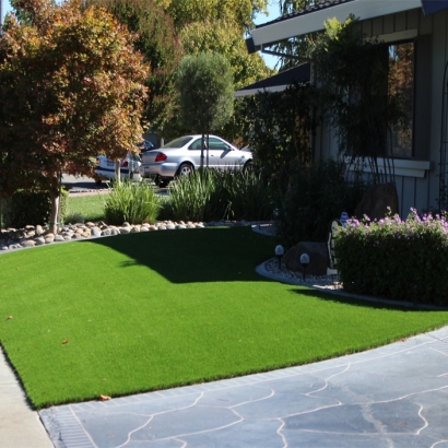 Artificial Grass Kempner Texas Landscape Front Yard