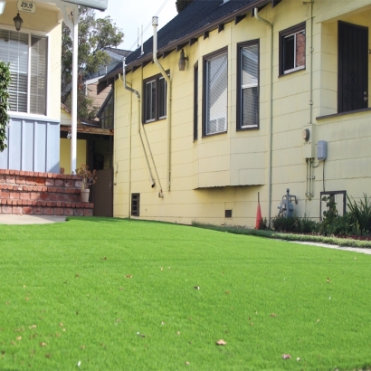 Artificial Grass Lott Texas Lawn Front Yard