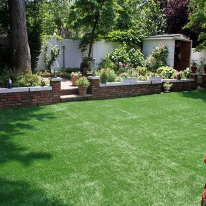 Artificial Grass Meadowlakes Texas Landscape Back Yard