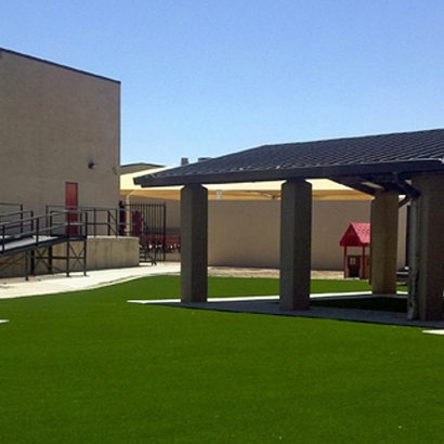 Artificial Grass Moody Texas Landscape Commercial Landscape