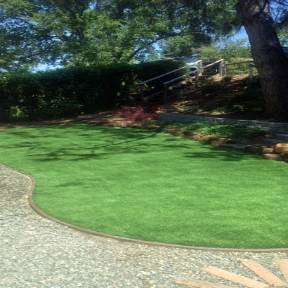 Artificial Grass Nixon Texas Landscape Back Yard