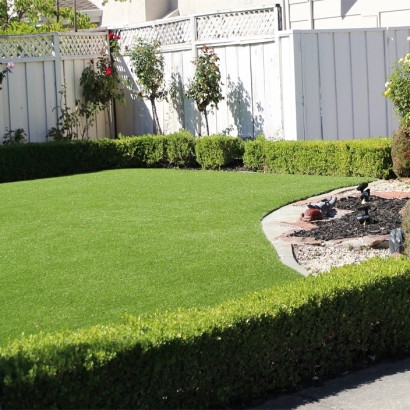 Artificial Grass Schertz Texas Lawn Back Yard Front Yard