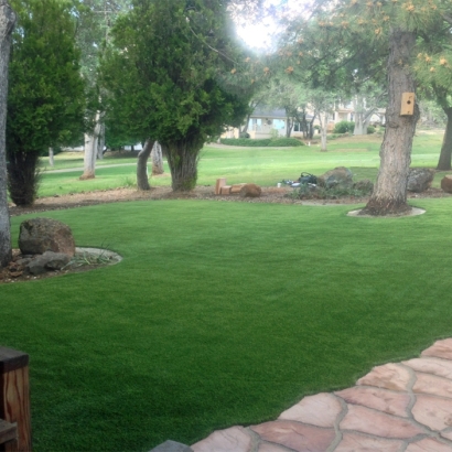 Artificial Grass Taylor Texas Lawn Front Yard