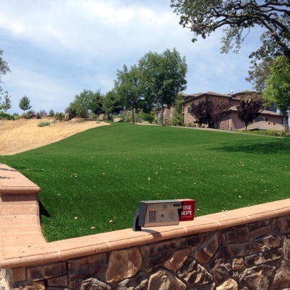 Artificial Grass Union Grove Texas Landscape Front Yard