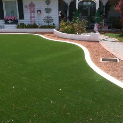 Artificial Grass Windemere Texas Landscape Front Yard