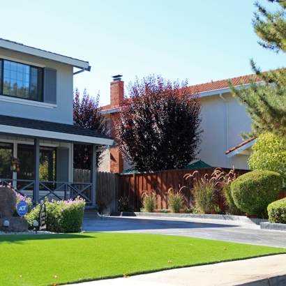 Artificial Turf Balcones Heights Texas Lawn Front Yard