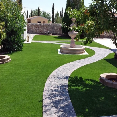 Artificial Turf Blanco Texas Landscape Back Yard