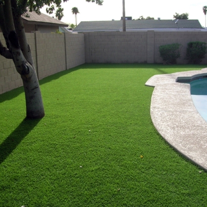 Artificial Turf Buchanan Dam Texas Landscape Summer Pools