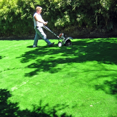 Artificial Turf Carmine Texas Lawn Back Yard