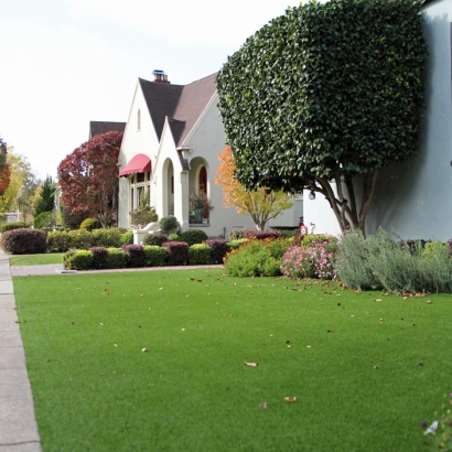 Artificial Turf Elmendorf Texas Lawn Front Yard