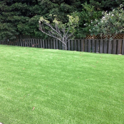 Artificial Turf Fort Hood Texas Landscape Back Yard