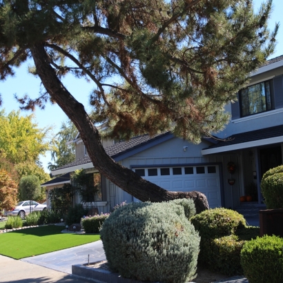 Artificial Turf Golinda Texas Lawn Front Yard