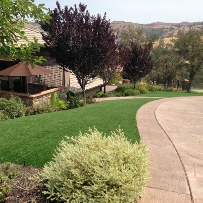 Artificial Turf Leander Texas Landscape Front Yard