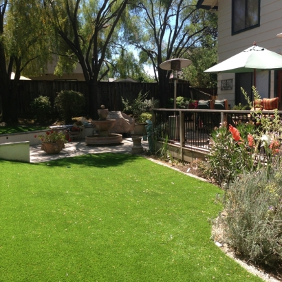 Artificial Turf Leander Texas Landscape Back Yard