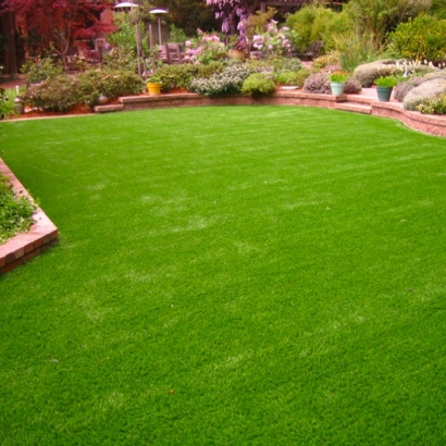 Artificial Turf Little River-Academy Texas Landscape Back