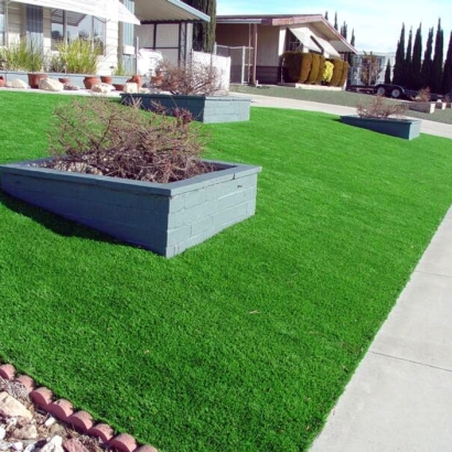 Artificial Turf Macdona Texas Landscape Front Yard