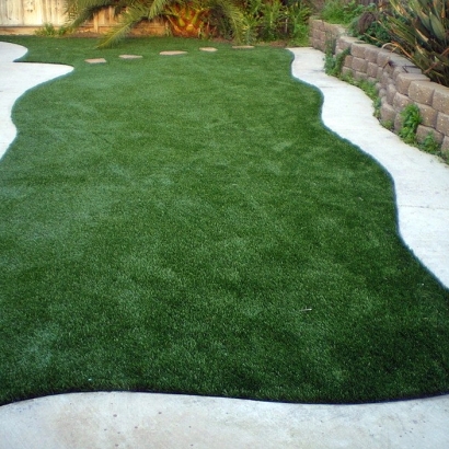 Artificial Turf Marion Texas Lawn Back Yard