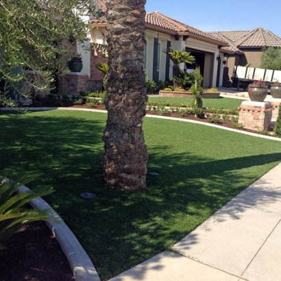 Artificial Turf Point Venture Texas Lawn Front Yard