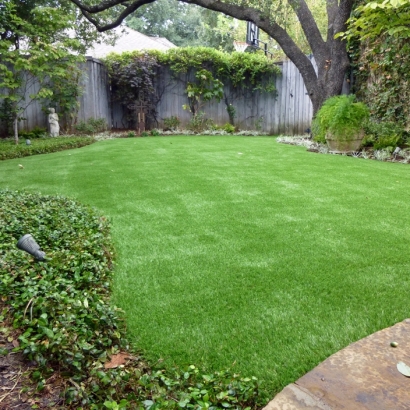 Artificial Turf Serenada Texas Landscape Back Yard