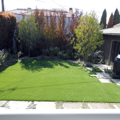 Artificial Turf Sunrise Beach Village Texas Lawn Back Yard