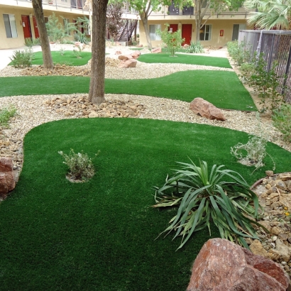 Artificial Turf Thorndale Texas Lawn Commercial Landscape