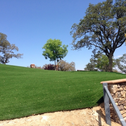 Artificial Turf Uhland Texas Lawn Front Yard