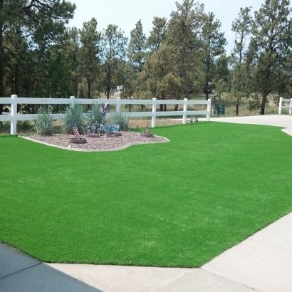 Artificial Turf Wells Branch Texas Landscape Front Yard