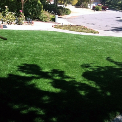 Artificial Turf Windcrest Texas Landscape Front Yard