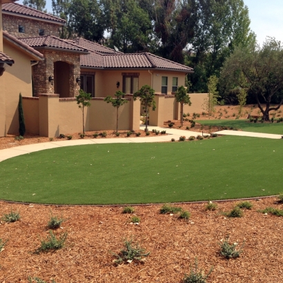 Artificial Turf Wyldwood Texas Lawn Front Yard