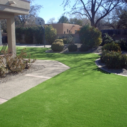 Fake Grass Bee Cave Texas Landscape Front Yard