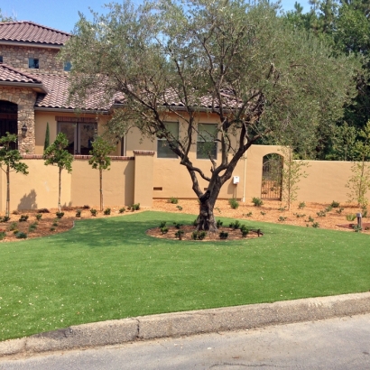 Fake Grass Driftwood Texas Landscape Front Yard